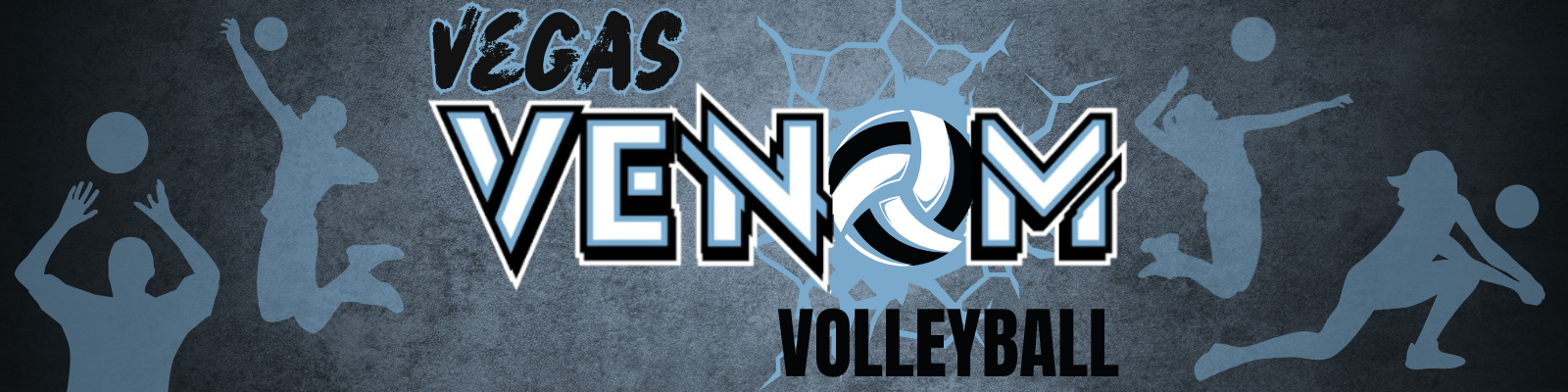 Vegas Venom volleyball team in action